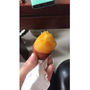 IQF Frozen Baked Whole Sweet Potato