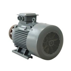 Natural Cooled Rare Earth NdFeB Permanent Magnet Alternator
