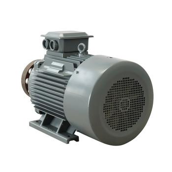 Cheap Natural Cooled Rare Earth NdFeB Permanent Magnet Alternator for sale