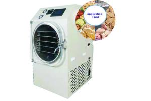 Best Medium 6 Trays Food Dehydrator Freeze Dryer With Tempe wholesale