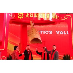 Wuhan TORLEO Intelligent Co., Ltd.