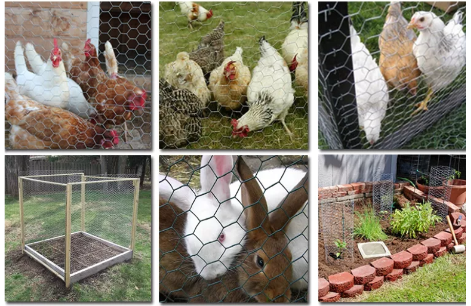 Lowest price China direct factory pvc coated hexagonal wire mesh green plastic chicken wire mesh