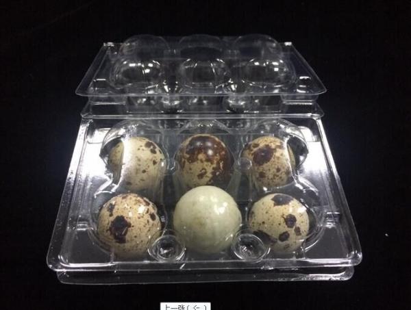 Cheap hot sells egg trays clear quail egg trays with 6 holes 2*3 holes PVC / PET / APET... quail egg container for sale