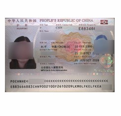 Passport Reader and Scanner for Identity Verification at Airport Security Checkpoints
