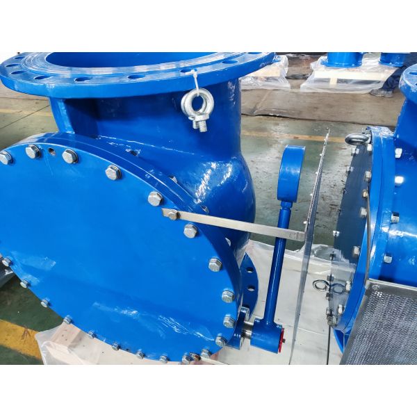 Check Valve
