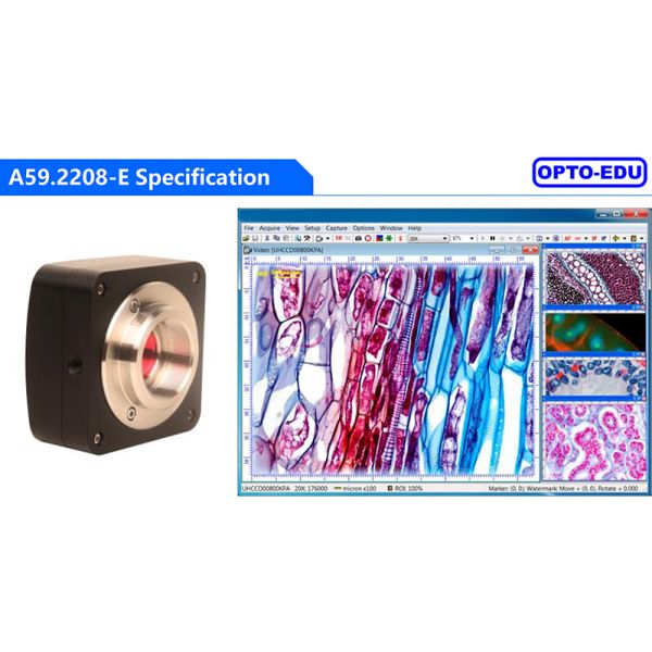 USB 2.0 Digital Camera Microscope Microscope Accessories A59.2208