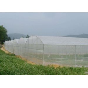Best UV Resistant Vegetable Anti Mosquito Nets Greenhouse 50g / M2 - 130g / M2 wholesale