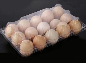 Best Waterproof PET Transparent Egg Trays , 15 Cavities Egg Carton Packaging wholesale