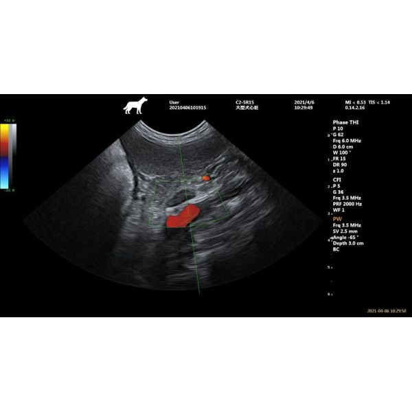 Ergonomic Console 64 Channel Portable Veterinary Ultrasound Machine For Animals