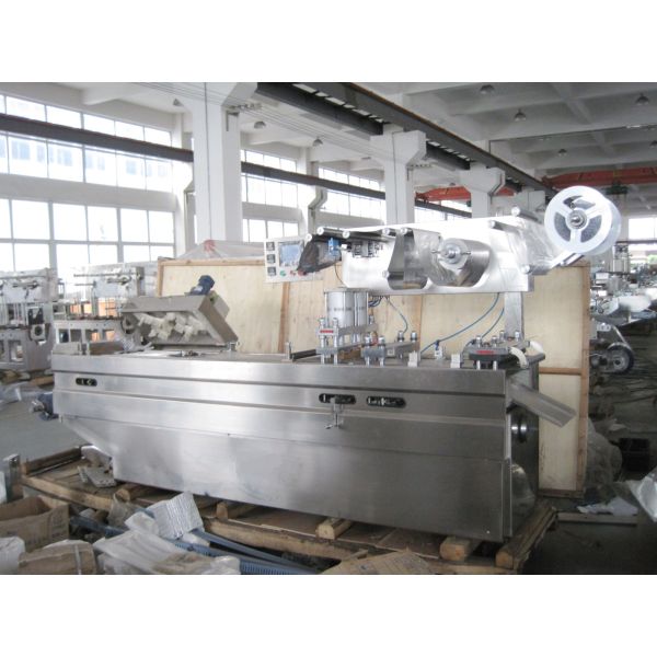 Tablet Pill Capsule Blister Packing Machine With CE Certification
