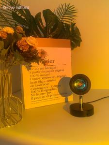 2021 New Product High Quality Aluminum Alloy Sunset Projector Lamp LED Sunset Projector tion Light Halo Lamp