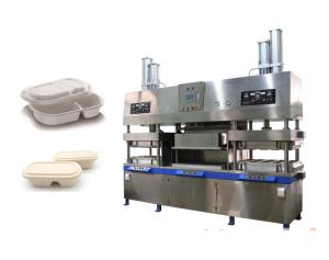 Best Oil Proof Pulp Molding Machine To Produce Clamshell Box wholesale