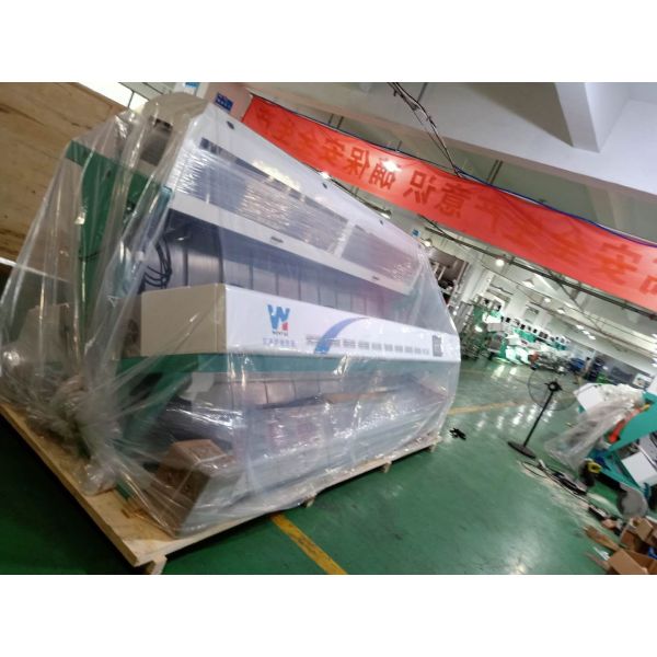 Wenyao Auto Dehydrated Vegetable Sorting Machine 2 Chutes Optical