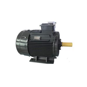 Best Cast Iron Asynchronous Inverter Motors Three Phase Inverter Duty wholesale