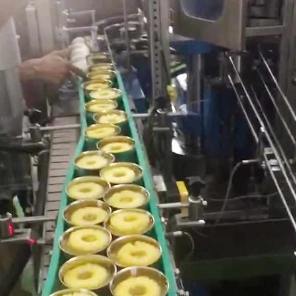 Cheap Pineapple Canning Production Line High Efficiency Fast Speed for sale