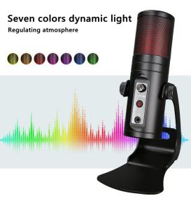 Professional Microphone For Singing And Recording Four Immersive Reverb Modes