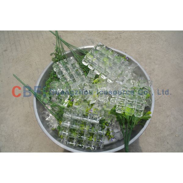 Integrated Edible Ice Cube Machine With Stainless Steel Frame