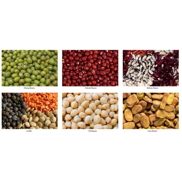 Pulses Optical Sorter Machine 64 Nozzles Coffee Bean Sorting Machine