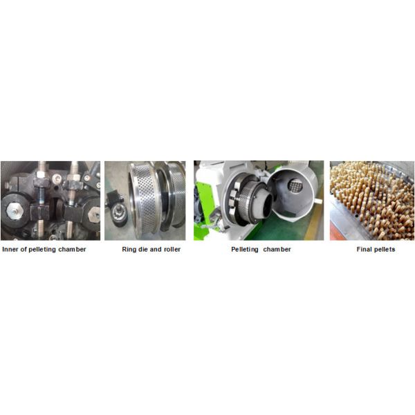 Ring Die Poultry 1t/H 10t/H Cattle Feed Pellet Making Machine