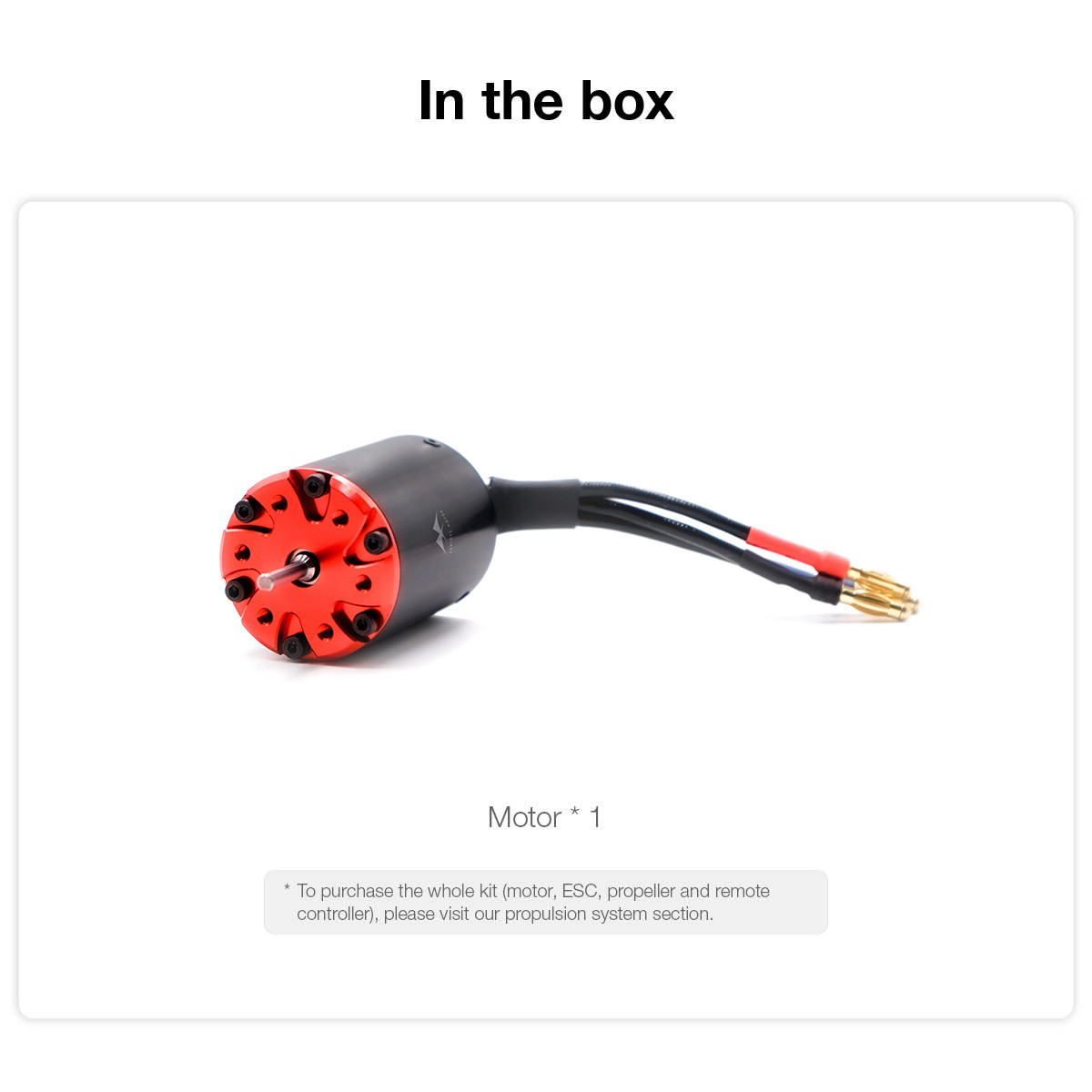 Small Brushless DC Motor Highly Customized 3650 Electric Gear Motor For Power Tool
