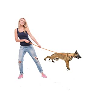 No Pull Dog Training Leash Strong Heavy Duty Braided Rope For Medium Large Dogs