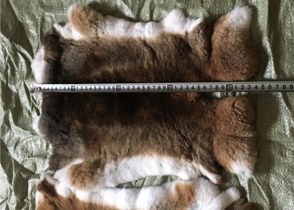 Warm Super Soft Rex Rabbit Fur Winderproof For Making Clothing / Rabbit Rug
