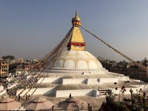 Best Interesting Nepal City Tour 7 Day