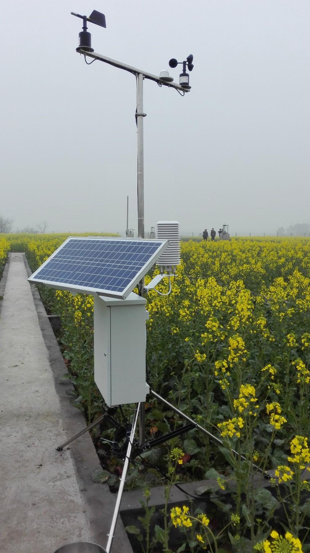 RS485 Modbus SDI12 4-20mA 0-2V Output Soil Moisture Sensor with IP68 Protection Level