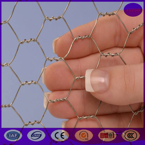 72" x 150' ft 1" Mesh Galvanized Poultry Netting Chicken Wire Fence