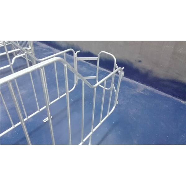 High Strength Steel Sow Gestation Crates / Indoor Guinea Pig Crate Anti Aging