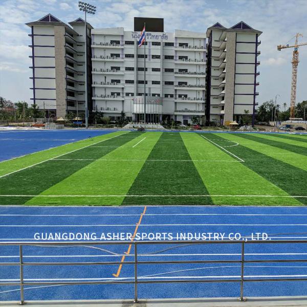 Environmental Friendly Artificial Football Pitches