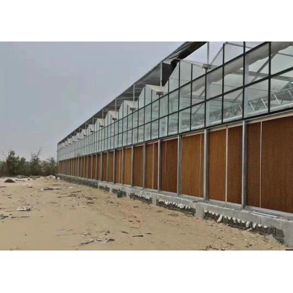 Water Production Agricultural Greenhouse Manufacturer Growing Hydroponic System Rooling Bench System