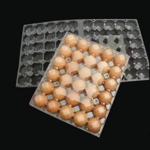 Best 5X6 Disposable Plastic Egg Tray 30 Holes Transparent Egg Tray Plastic wholesale