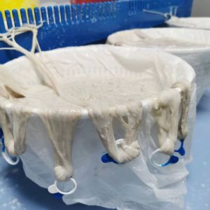 Best 20/22mm AB Grade Natural Sausage Skin wholesale