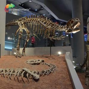 landscape decoration Outdoor Yangchuanosaurus Skeleton Dinosaur Replica Fossil