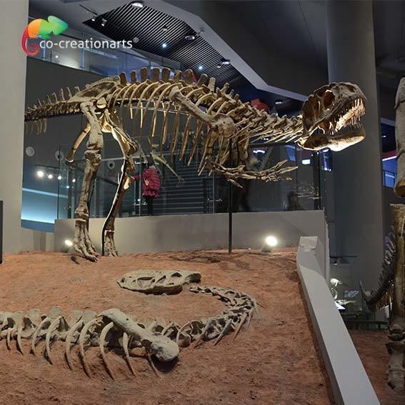 Cheap landscape decoration Outdoor Yangchuanosaurus Skeleton Dinosaur Replica Fossil for sale