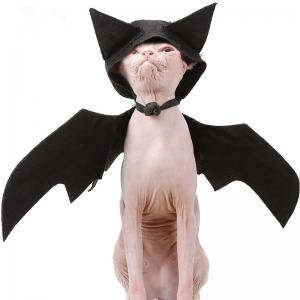 Best 100g Halloween Pet Bat Wings Black Cool Dog Cat Bat Hat Disguise Pet Costume wholesale