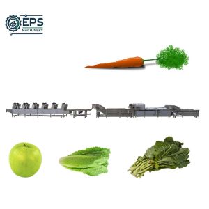 Best Advanced Fruit and Vegetable Processing Equipment for Cleaning wholesale