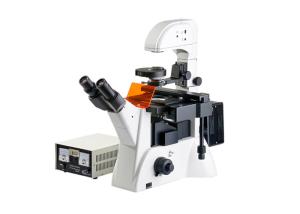 China 10X20X40X Fluorescent Light Microscopy , Scientific Inverted Fluorescence Microscope on sale
