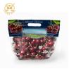 Buy cheap 100g 500g Dry Fruit Packaging Bags With Hole Fresh Cherry Stand Up Pouches Eco from wholesalers