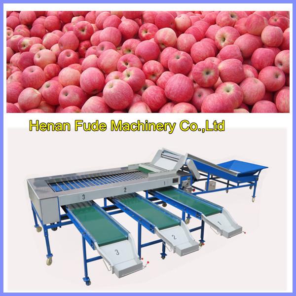 Cheap apple sorting machine, mango sorting machine for sale