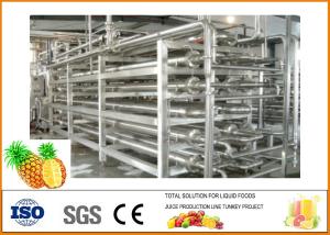 China Automatic Pineapple Juice Processing Line 304 Stainless Steel Energy Saving on sale