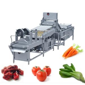 Best 10.75kw 300kg/h Vegetables Washing Drying Machine wholesale