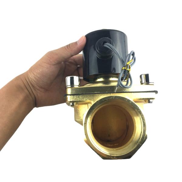 2W500-50 Solenoid Valve Water Vapor Control Switch 2 Inch Solenoid Normally Open