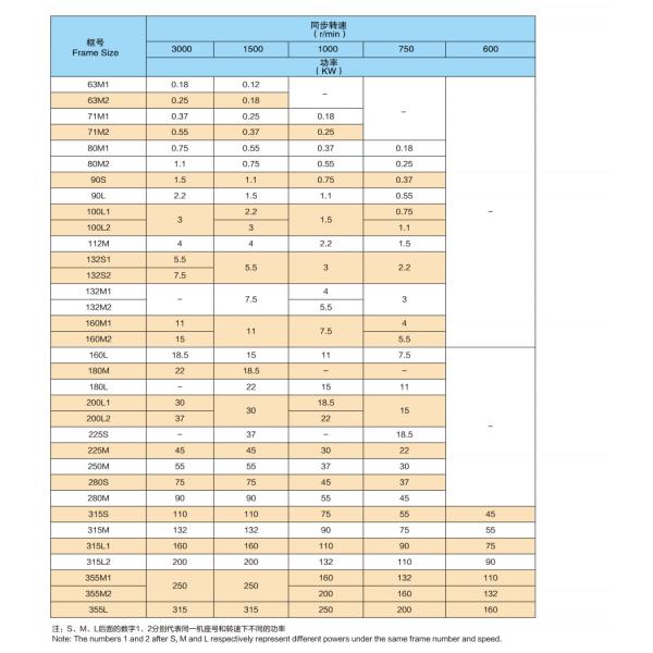 IE3 3 Phase Asynchronous 2 Pole Motors 3000rpm With Built-In Frequency Inverter