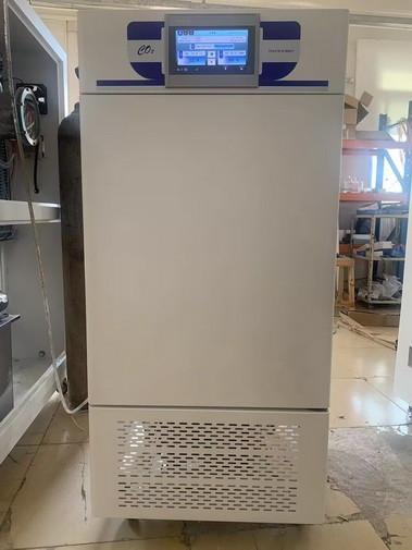 Cheap Constant temperature humidity carbon dioxide incubator automatic control gas concentration for sale