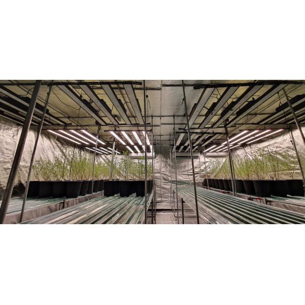 BAVA Dimmable LM301H 3000k Red 385nm IR 800W Far red Commercial Grade Fixture