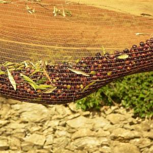 Best Latest Material Best Quality Olive Net Manufacturer wholesale