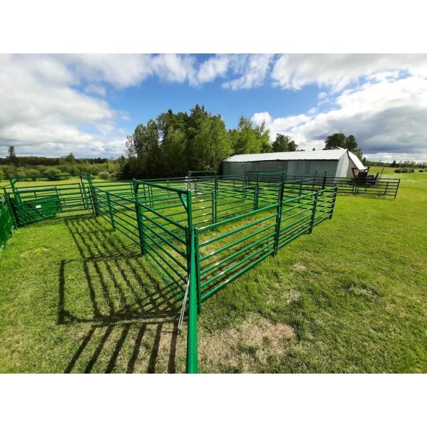 5 X 8ft Metal L Wire Welded Galvanized Steel Cattle Panels Corral Decorative Cattle Panel Fence