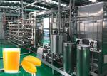 Professional Mango Processing Line / Safety Mango Juice Processing Plant